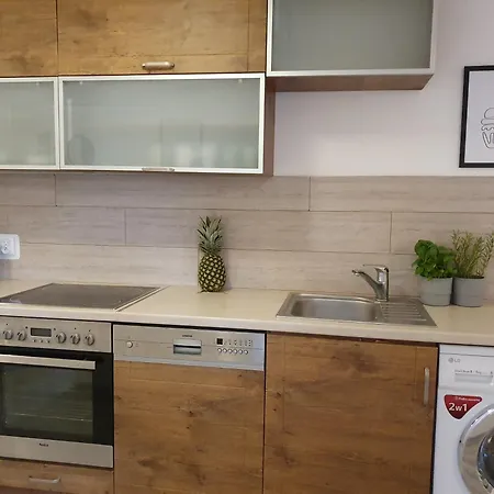 Mieszkanie We Wrzeszczu *